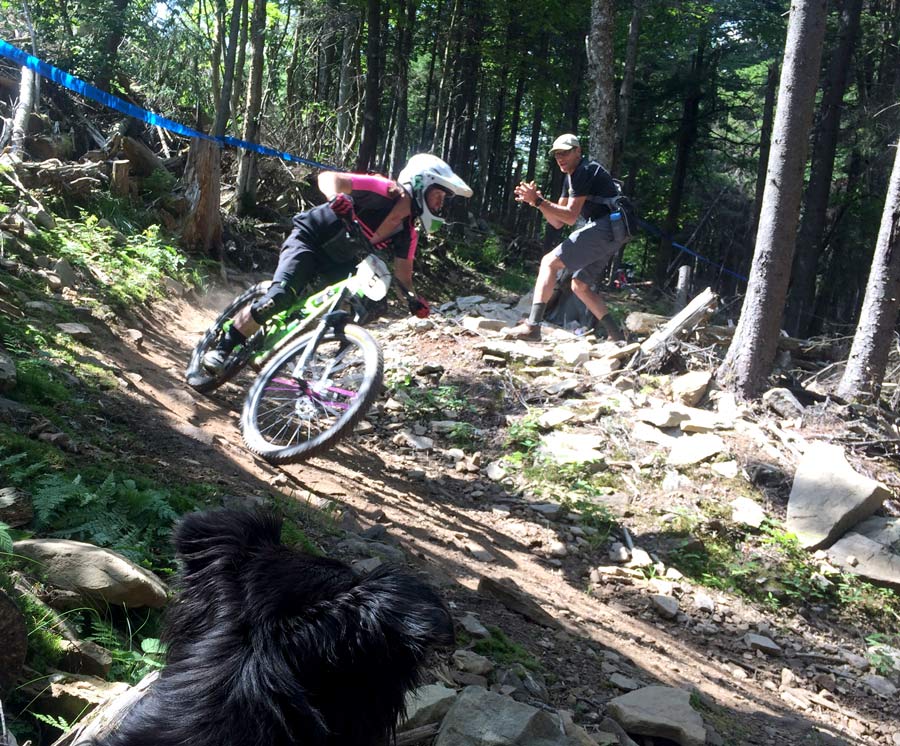 Timberline Enduro